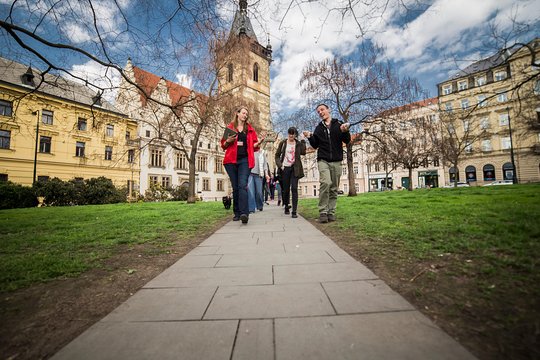 Tour image 11